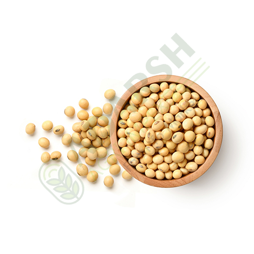 Soya Beans